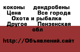 коконы    дендробены › Цена ­ 25 - Все города Охота и рыбалка » Другое   . Пензенская обл.